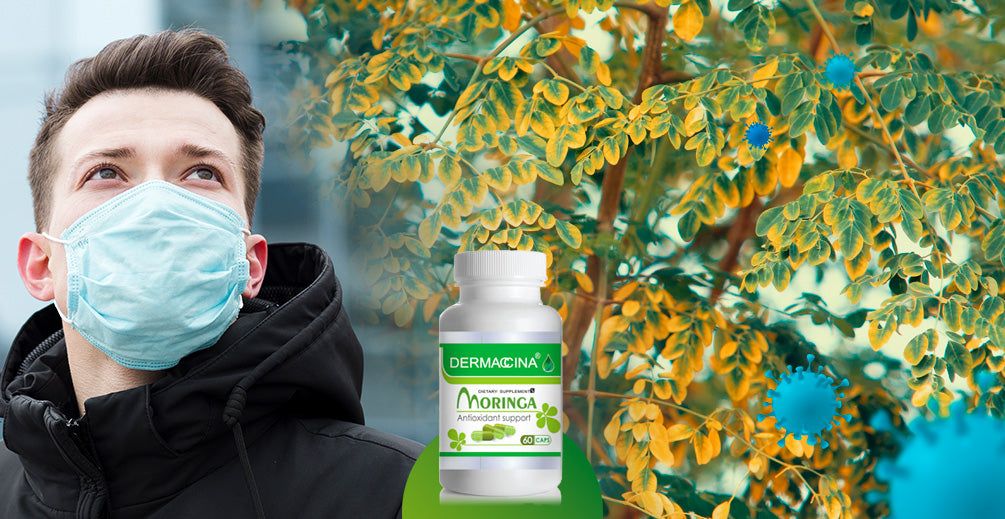 La Moringa, Un ingrediente de la sabiduría Popular presente en los remedios contra los virus