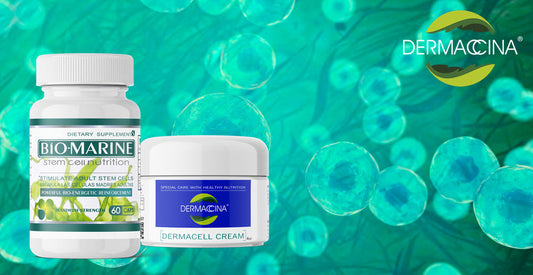 Beneficios de las Células Madres (Stem Cells Benefits)