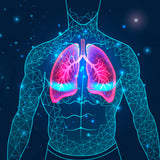 Reduce el asma gracias a sus propiedades anti inflamatorias y analgésicas